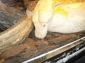 Jess_DZoo_Safari-I (38)